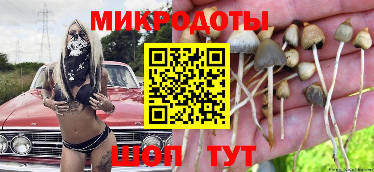 Галлюциногенные грибы Magic Shrooms  Вход с VPN  Туймазы  Псилоцибиновые грибы Psilocybine cubensis 